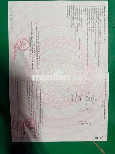 Chính chủ gửi Bán căn góc kinh doanh 2 mặt tiền