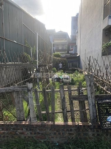 Phố Nguyễn Văn Linh – Long Biên – Ô Tô – 81 M2 – Đất – MT 5 M – Giá 13