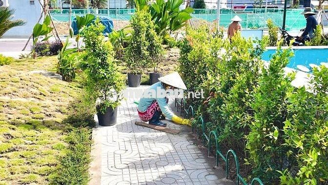 Bán nhà liền kề tại Phú Gia Royal Park, 5,97 tỷ LK05, ưu đãi hấp dẫn