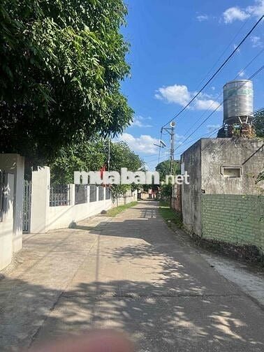 Cần tiền bán gấp 300m sổ đỏ chính chủ