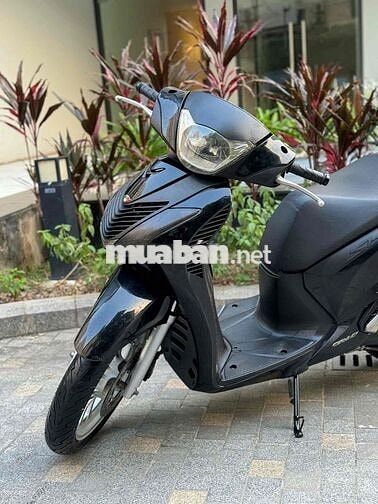 Sh150 lên vỏ nhập