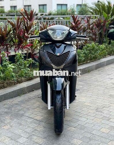 Sh150 lên vỏ nhập
