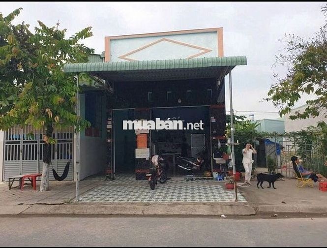 Bán dãy trọ 20P ở Vĩnh Lộc, Bình Chánh.SHR,DT 242m2 có thổ giá 4ty