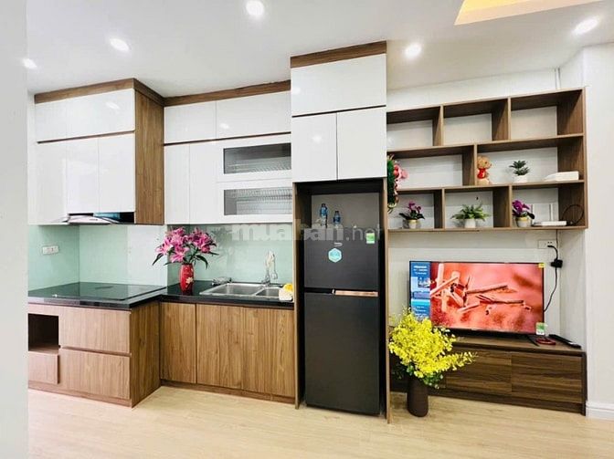 3,35 tỷ có 48m2 đầy đủ nội thất, không mua nhà này thì mua nhà nào?