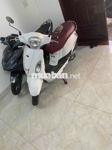 Kymco Like 50 2019 Trắng 30000km