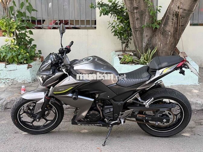 Kawasaki Z300 2017 Xám