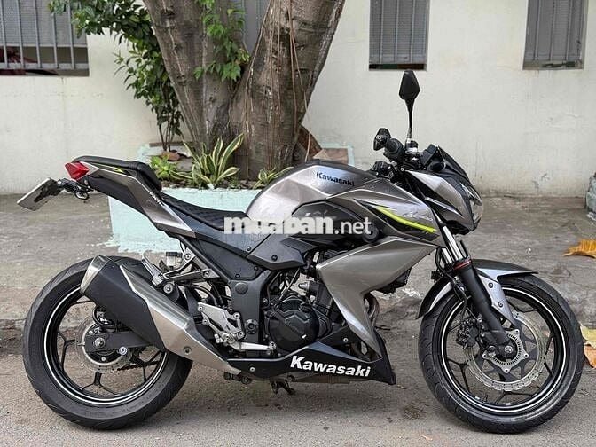 Kawasaki Z300 2017 Xám