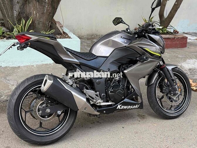 Kawasaki Z300 2017 Xám