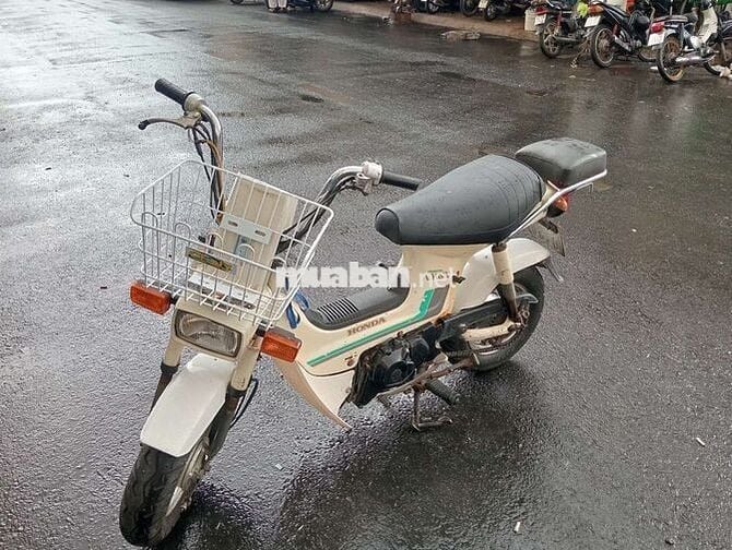 Honda Chaly màu Trắng Đã sử dụng