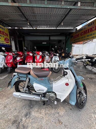 Espero Classic VVP1 Xám trắng