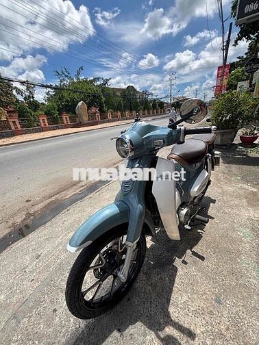 Espero Classic VVP1 Xám trắng