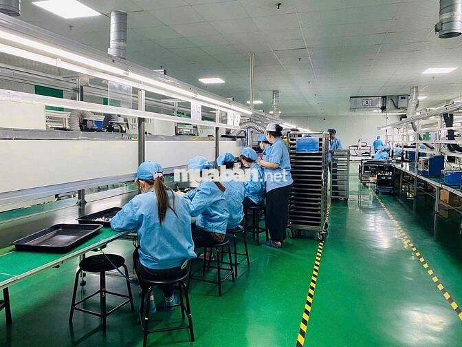 ĐANG CÓ THƯỞNG KHI LÀM VIỆC TẠI KHU CNC QUẬN 9