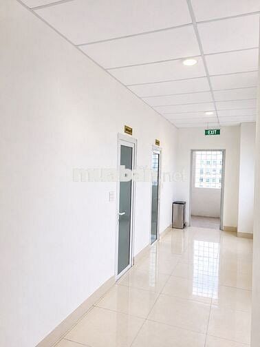 🏢 CHO THUÊ VĂN PHÒNG TRUNG TÂM TP. ĐÀ NẴNG – VỊ TRÍ ĐẸP, GIÁ HỢP LÝ