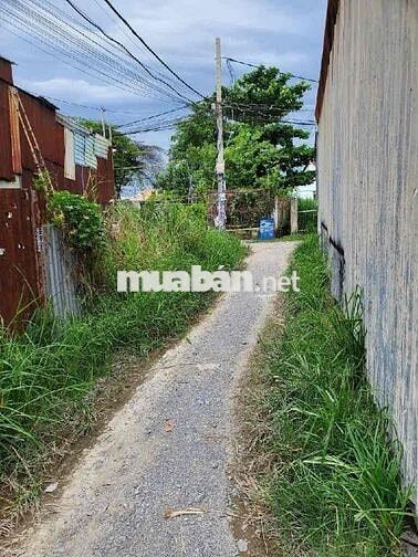 🔥 ĐẤT ĐẸP HẺM XE HƠI – FULL THỔ CƯ – GIÁ CHỈ 2.9 TỶ 🔥 📍 Đường Nguyễn T