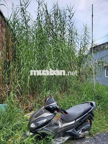 🔥 ĐẤT ĐẸP HẺM XE HƠI – FULL THỔ CƯ – GIÁ CHỈ 2.9 TỶ 🔥 📍 Đường Nguyễn T