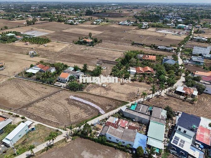 113m2 đất ở mặt tiền đường bờ mồi phước tuy, cần đước long an