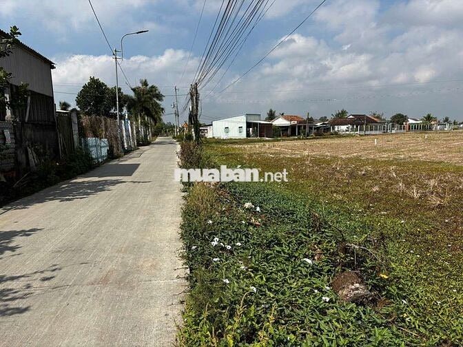 113m2 đất ở mặt tiền đường bờ mồi phước tuy, cần đước long an