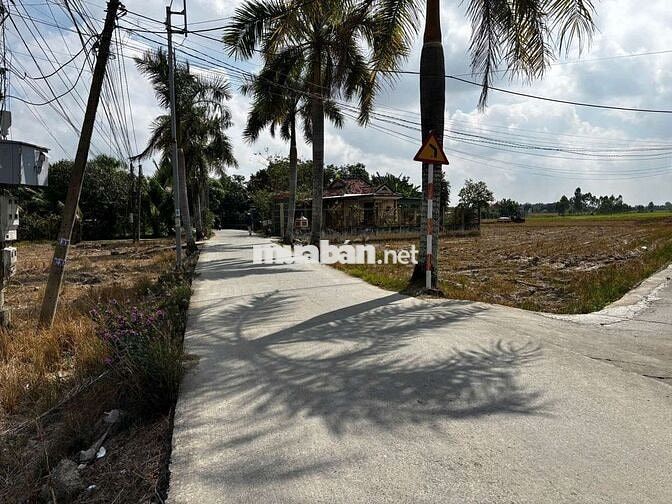 113m2 đất ở mặt tiền đường bờ mồi phước tuy, cần đước long an