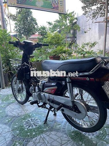 Honda Dream Thái màu Tím Đã sử dụng