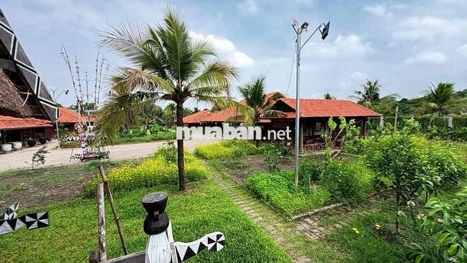 Bán gấp khu đất du lịch(cánh đồng hoa thiên thai) 10.000m2