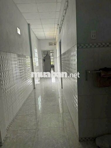 CCG bán gấp căn nhà SHR gần bv Xuyên Á, Củ Chi 830 triệu thương lượng