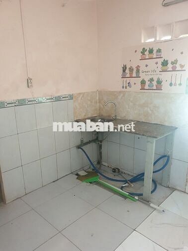 CHO THUÊ NHÀ NGUYÊN CĂN HẺM 55 ,SAU NHÀ CÓ ĐẤT NUÔI CHÓ ,GÀ ,VỊT