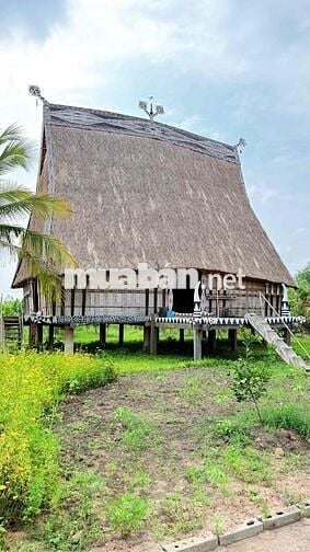 Bán gấp khu đất du lịch(cánh đồng hoa thiên thai) 10.000m2