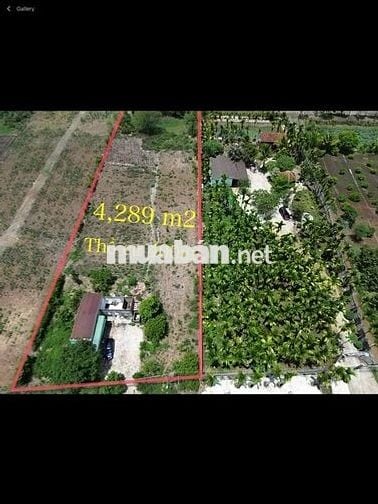 BÁN 4 sào 3 Nhà Đất thổ cư Ea Nuôi
