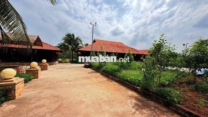 Bán gấp khu đất du lịch(cánh đồng hoa thiên thai) 10.000m2