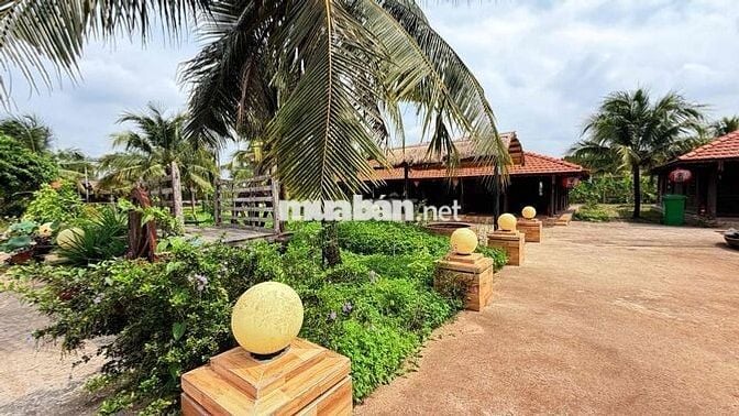 Bán gấp khu đất du lịch(cánh đồng hoa thiên thai) 10.000m2