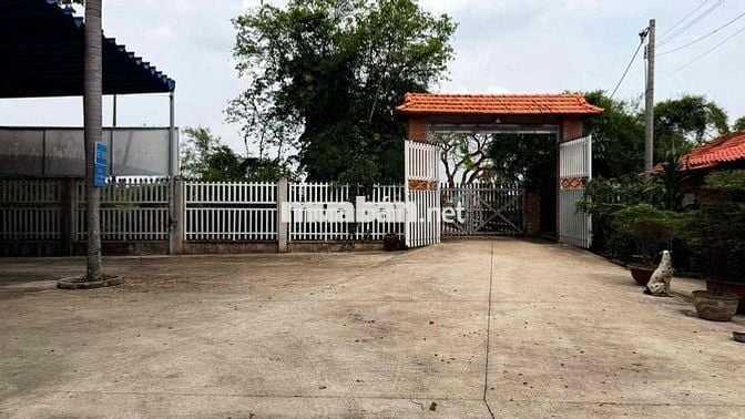 Bán gấp khu đất du lịch(cánh đồng hoa thiên thai) 10.000m2