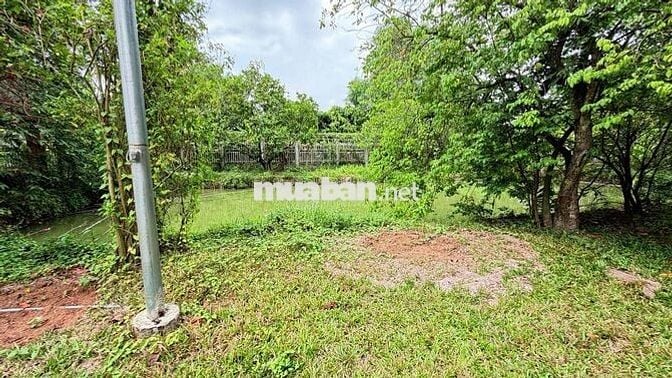 Bán gấp khu đất du lịch(cánh đồng hoa thiên thai) 10.000m2
