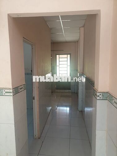 CHO THUÊ NHÀ NGUYÊN CĂN HẺM 55 ,SAU NHÀ CÓ ĐẤT NUÔI CHÓ ,GÀ ,VỊT