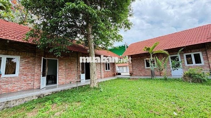 Bán gấp khu đất du lịch(cánh đồng hoa thiên thai) 10.000m2