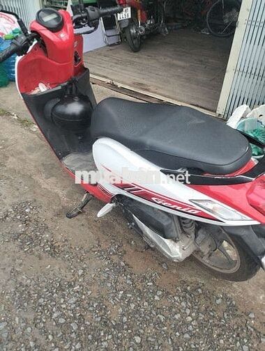 Honda Genio Đỏ trắng