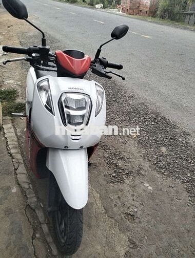 Honda Genio Đỏ trắng