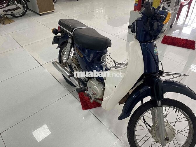 dealim Cub 2015 Xanh trắng