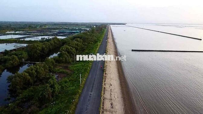 7000m2 Mặt Tiền Đê Biển Ngay Trung Tâm Biển