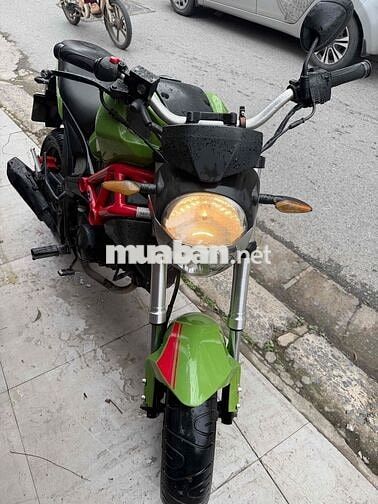Ducati Mini Xanh lá 110cc