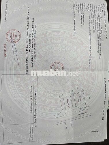 Chủ Cần Tiền Cần Bán Lô Góc TĐC Định Hiệp - Khu A - Ngay Vòng Xoay