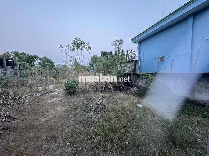 cho thuê mặt bằng MT Trần Văn Trà + 1.600m2 đất trống