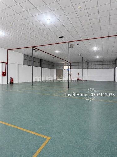 🔥 CHO THUÊ KHO 1000M2 TẠI Q7 TPHCM 🔥