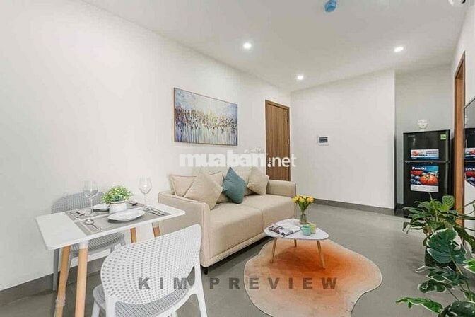 1 phòng ngủ 1 phòng khách phố Phan Đăng Lưu gần Hoàng Sa Cầu Bông Q1