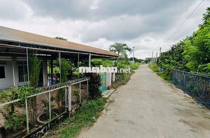 Chủ đang kẹt tiền gửi bán gấp vườn cây ăn trái hơn 1 sào