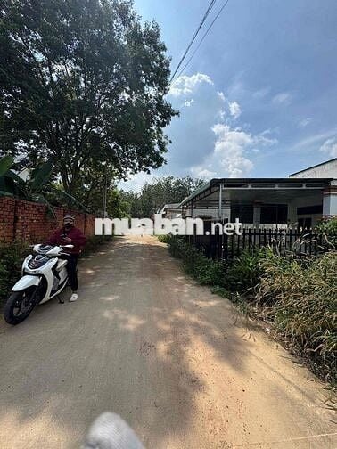 BÁN ĐẤT HƯNG HOÀ BÀU BÀNG (BÌNG DƯƠNG CŨ)