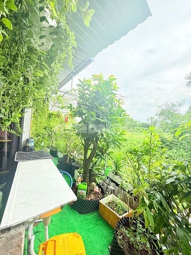 Nhà Chính chủ, hỗ trợ góp không lãi suất