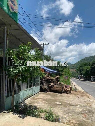 Bán Đất Tặng Dãy Trọ (mặt tiền) Nguyễn Xiển 5*20