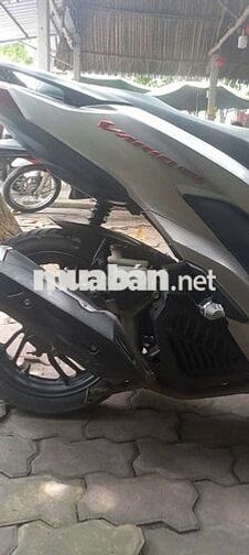 vario 2020