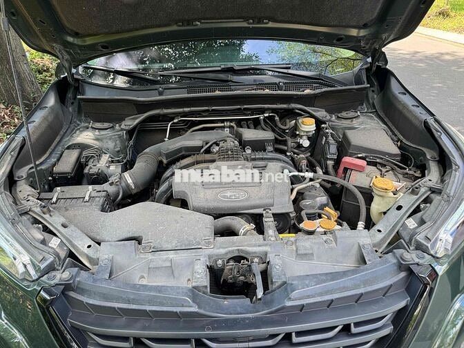 Subaru Forester IL 2023 Sơn zin 99% full lịch sử