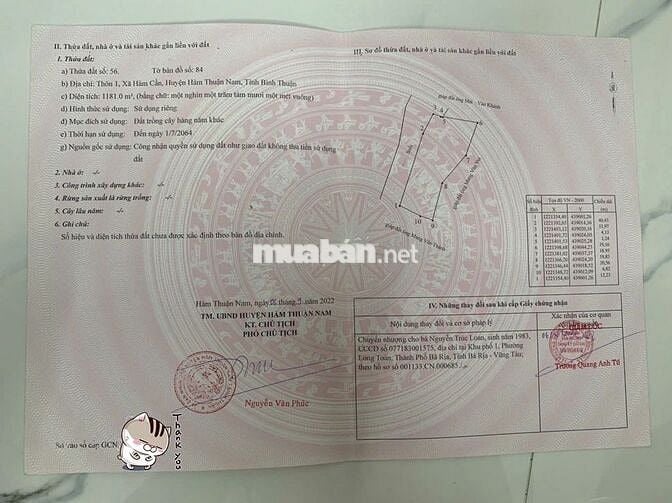 mình chính chủ bán đất CLN tại Hàm Cần HTN Bình Thuận